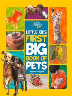 cover image of Little Kids First Big Book of Pets